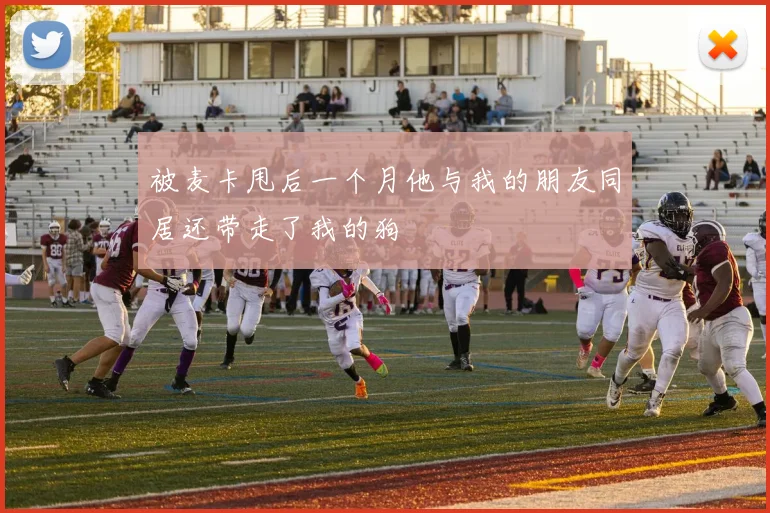 被麦卡甩后一个月他与我的朋友同居还带走了我的狗