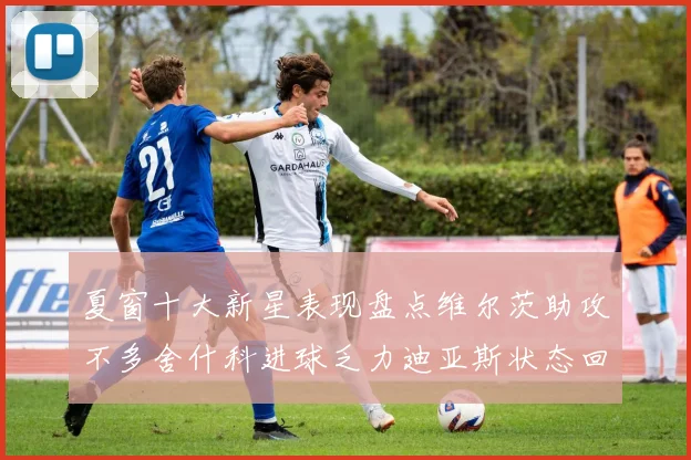 夏窗十大新星表现盘点维尔茨助攻不多舍什科进球乏力迪亚斯状态回暖