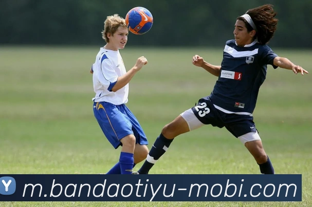 App Interface Preview