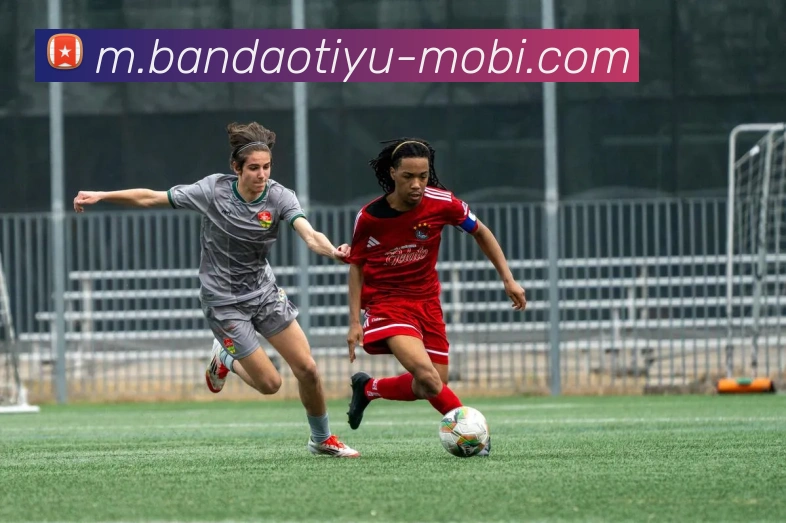 半岛体育APP 封面图